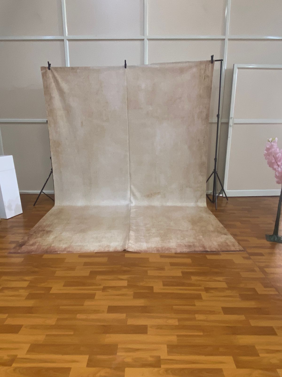 Maternity / Lifestyle Backdrop (8x12 Feet) - 02